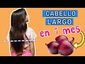 Cabello LARGO en 1 MES | Shampoo de Cebolla