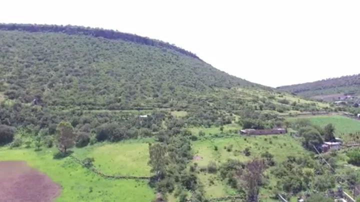 Las Fiestas De El Potrerocantada por Israel  huerta