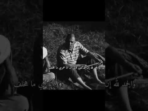 عليا الطلاق أنا حمار