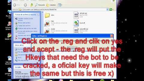 Crack Tibia bot NG 5.0.2 for tibia 8.7 [works]