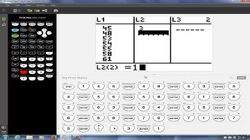 TI-84 Plus: Calculate the Descriptive Statistics of Ungrouped Data
