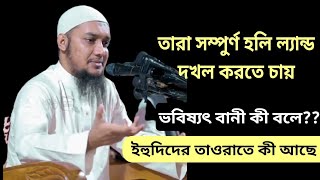 তারা সম্পুর্ণ হলি ল্যান্ড দখল করতে চায় || আবু ত্বহা মুহাম্মদ আদনান || Best Islamic Waz