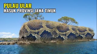 lagi viral.!pulau ular masuk provinsi jawa timur