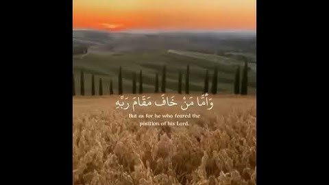 سورة النازعات ، رعد الكردي