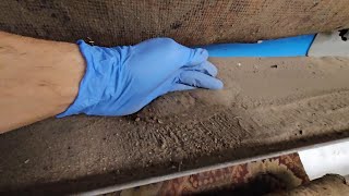 This is not the end of the Mega Goo carpet. There were 5 kilograms of sand in it before washing. by LUBUSKIE CENTRUM CZYSTOŚCI 10,705 views 1 month ago 8 minutes, 52 seconds