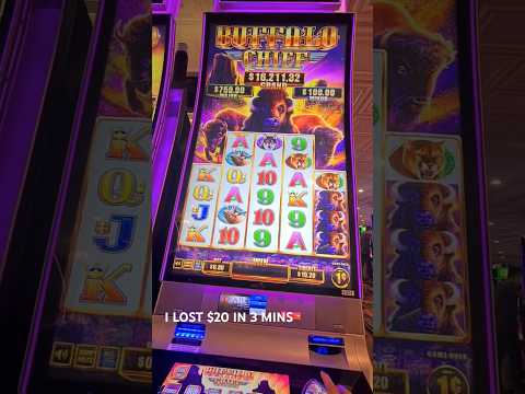 🔥🎰12.000€ MAX WIN bei DUCK HUNTERS | CASINO STREAM HIGHLIGHTS #bigwin #slots #casino