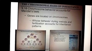 AP Chapter 9 patters of inheritance part 3/3