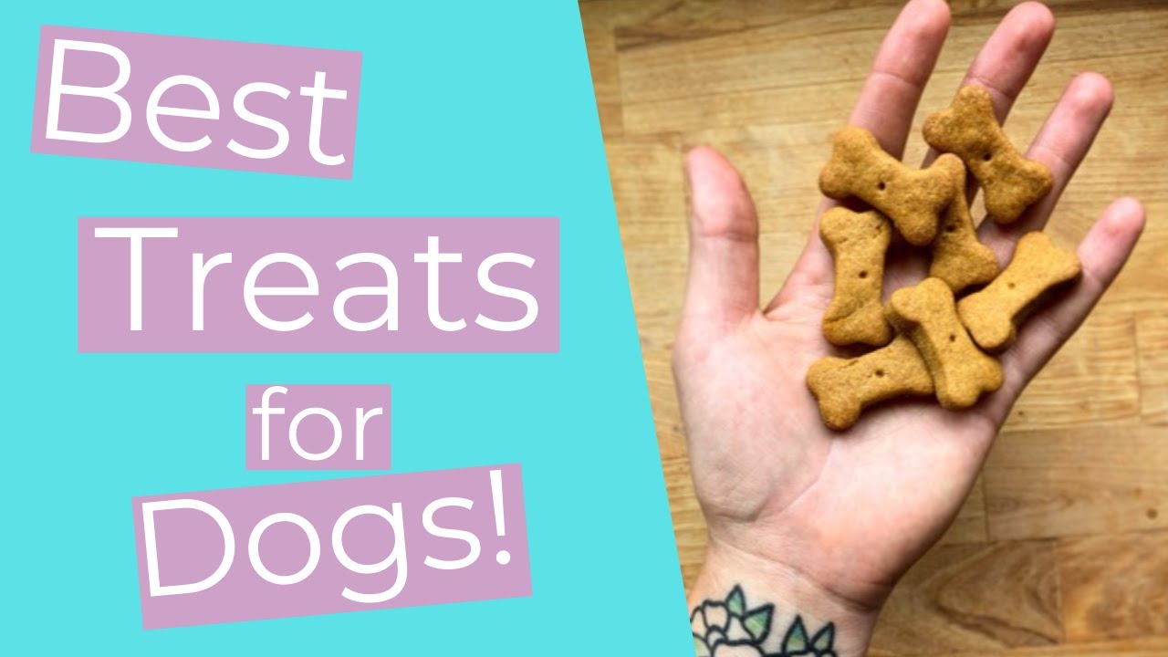 home-made-training-treats-for-happy-dogs-totally-dog-training