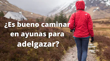 ¿Es mejor caminar por la mañana o por la noche para adelgazar?