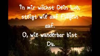 Video thumbnail of "Du siehst die wunden Danny Plett Lyrics (mit Text)"