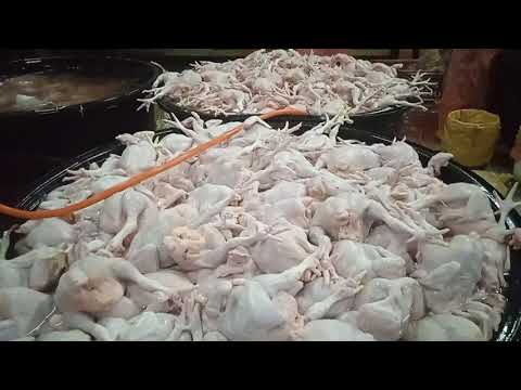 Video: Kilang pemprosesan daging Ishim dan produknya