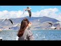 一路往南走 DJ版 卢润泽 抖音最好听的歌曲2024 