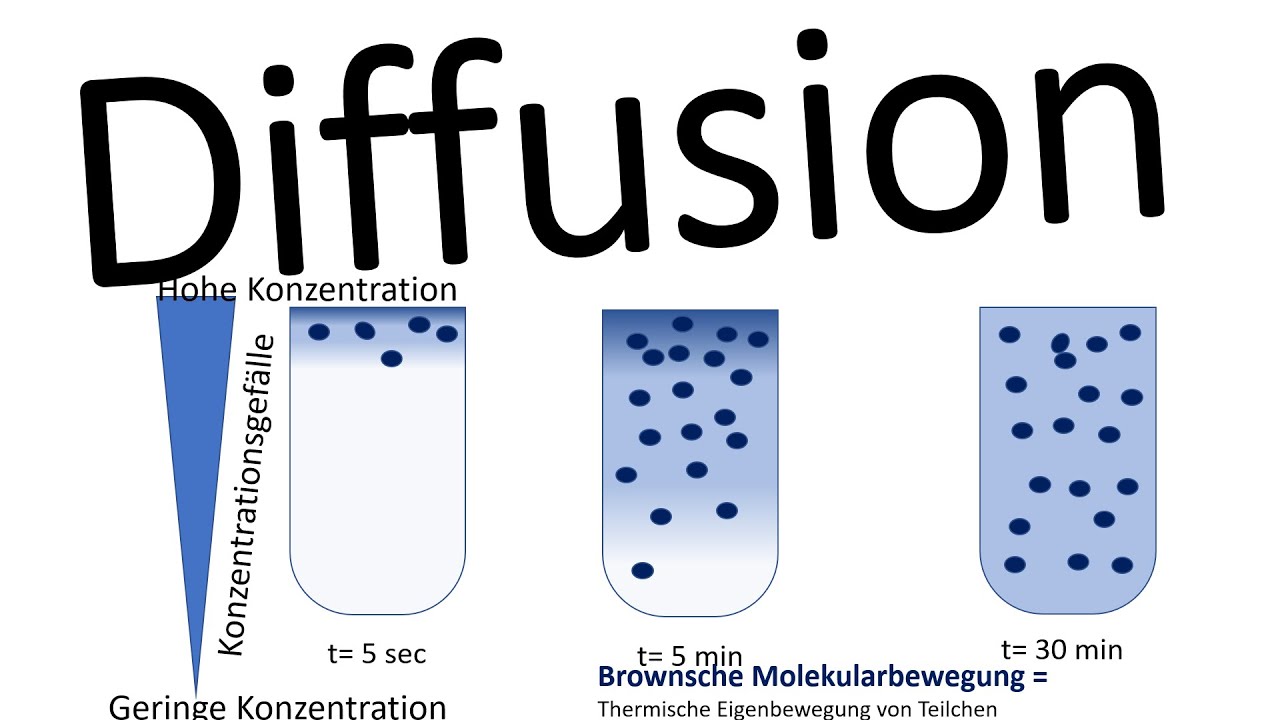 Diffusion Einfach erklärt in 102 Sekunden | Was ist Diffusion | Grundlagen Biologie