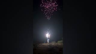 ഡബിള് ധമാക്ക - Mr Bi Fireworks Double Delight #Vishu#vishu2026#shorts#padakkam