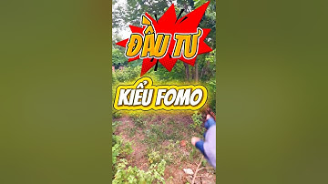 Đất Dầu Tiếng I SAI LẦM  ! Đầu tư BĐS theo kiểu FOMO #datdautieng