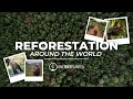 Our global reforestation movement  earth month  one tree planted