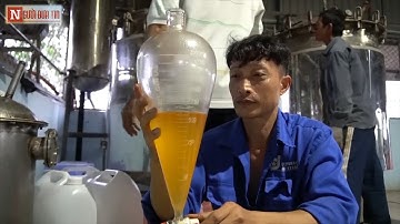 Nông dân chưng cất tinh dầu từ phế phẩm cây sả