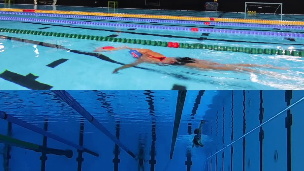 Les meilleurs éducatifs avec des plaquettes de natation