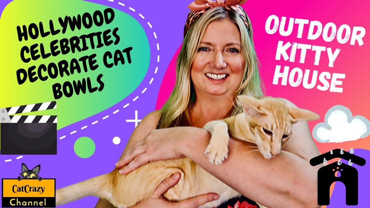 😻 CatCrazy: Celebrities raise money for feral cats! Watch... 