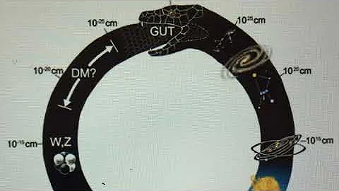 ‘ Ouroboros ‘ Snake eating its own tail. Physicist Klee Irwin of The Quantum Gravity Research.