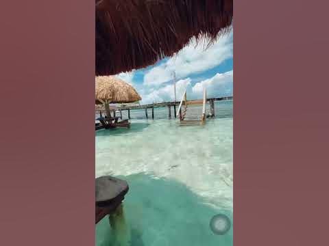The perfect spot 📍Sip N Dip, Caye Caulker, Belize 🇧🇿 - YouTube