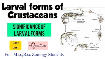 Part-10. Larval forms of Crustacea- Significances of Larval forms+Objectives| For M.sc B.sc Zoology