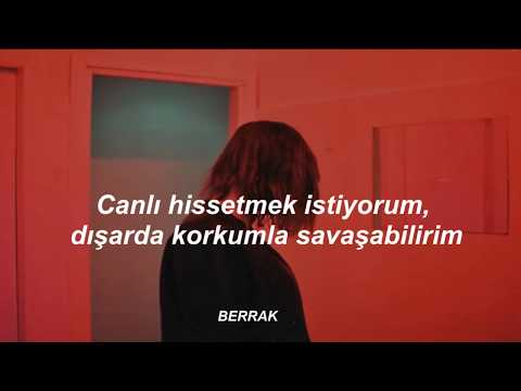 Billie Eilish \u0026 Khalid - Lovely (Türkçe çeviri)