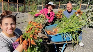 We were BLOWN AWAY with the Carrot and Onion Harvest!