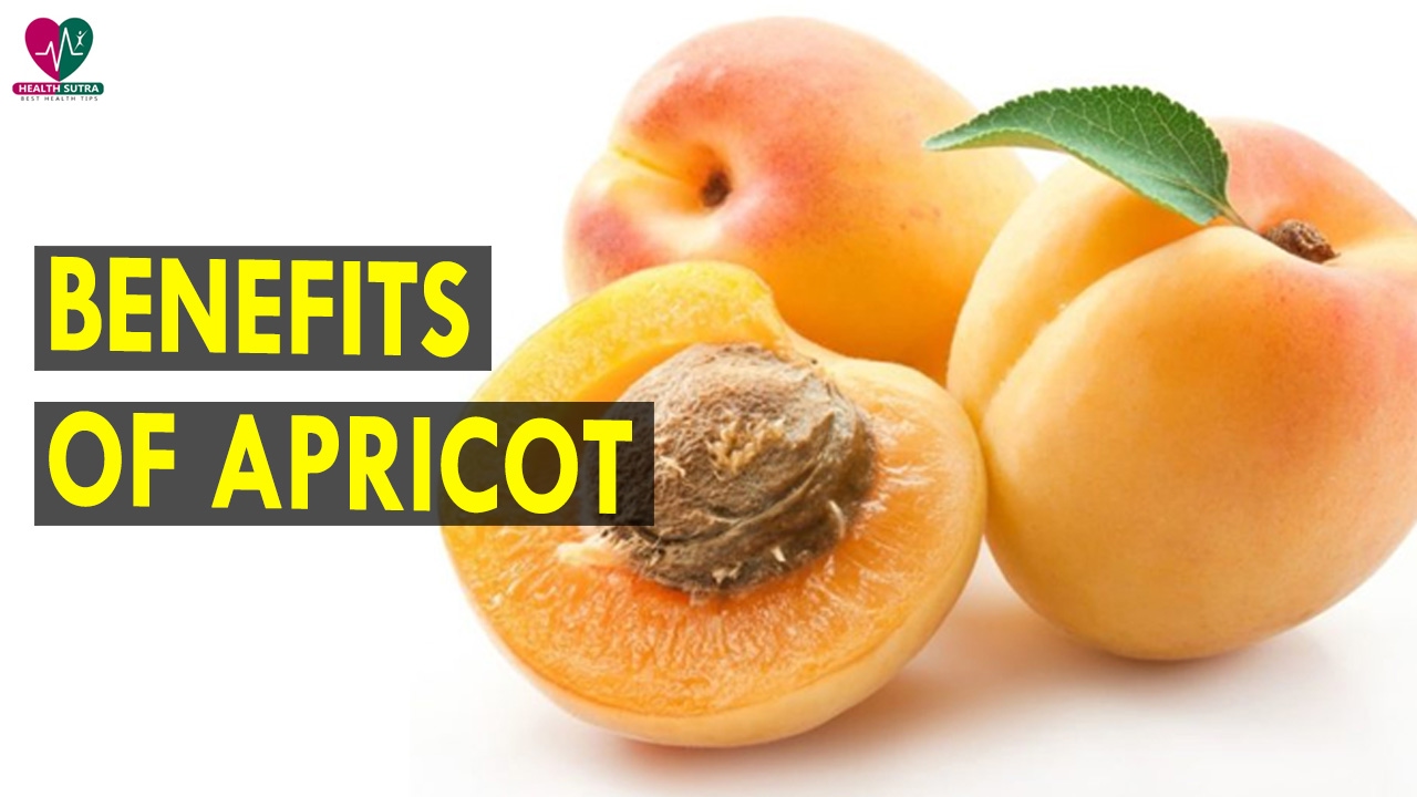 Benefits Of Apricot Health Sutra Best Health Tips YouTube