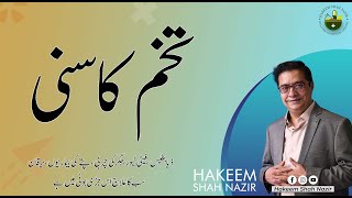 Chicory Seeds | Tukhm-e-Kasni Benefits in Urdu/Hindi - Hakeem Shah Nazir