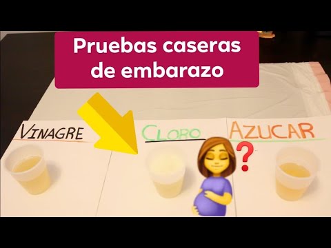 PRUEBAS CASERAS DE