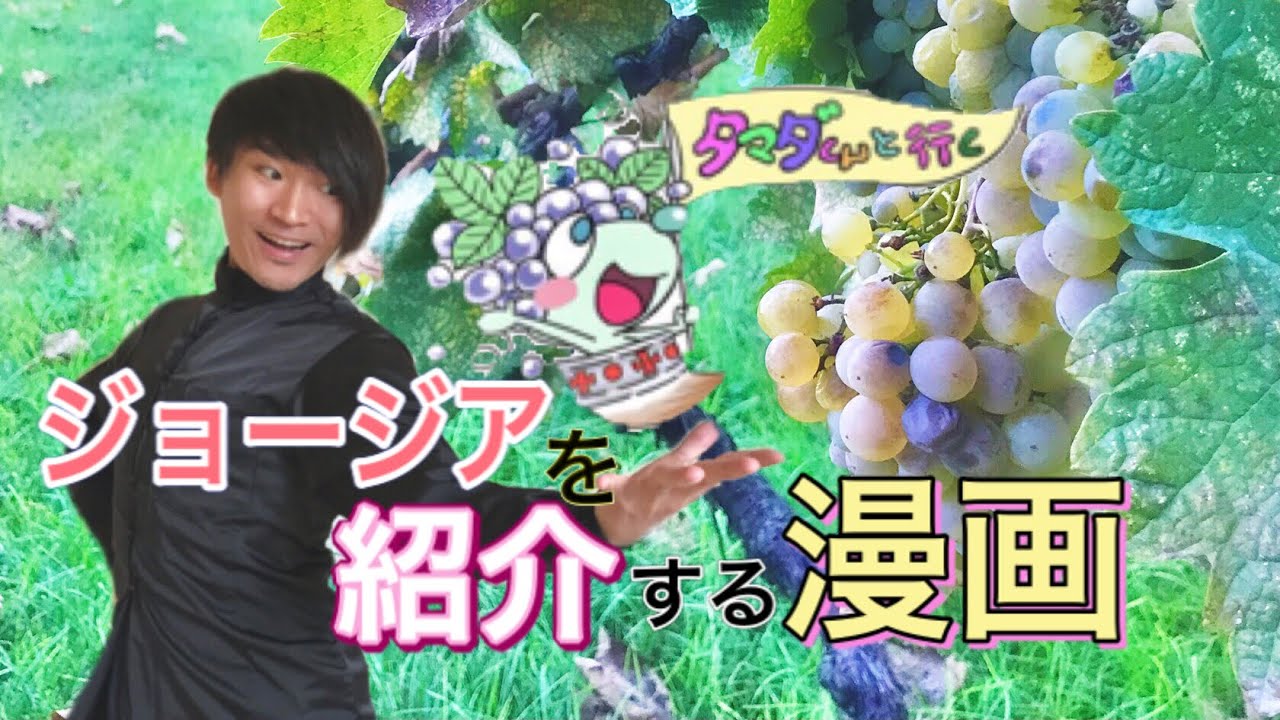 ジョージアを紹介する漫画に登場したようです Youtube