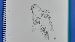 كيفية رسم عصافير سهل بقلم الرصاص 'رسم طيور مع عرق ورد'How to draw birds easy with a pencil