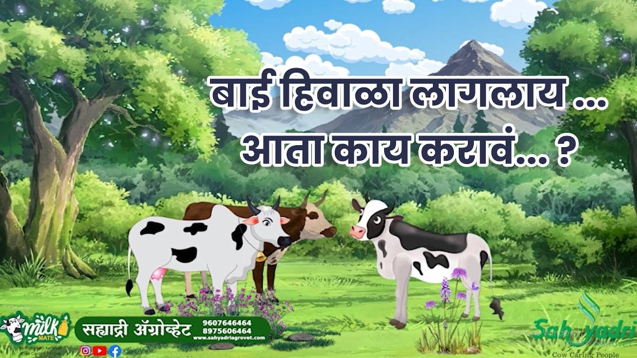 हिवाळा लागलाय ..आता काय करावं.. ? | सह्याद्री रबर गादी | 9607646464 #rubbermat #  रबरगादी