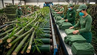 Inside the World's Most Advanced Bamboo Processing Plant | The Full Journey to Luxury Clothing screenshot 2