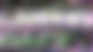 TOISUTATET Sneak Peek 1 ~ The First 10 minutes