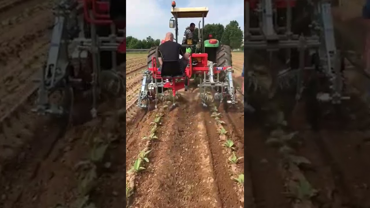 ROTOSARK WEEDING MACHINE: TOBACCO STRAWBERRY OR POTATO, SARCHIATRICE PER TABACCO FRAGOLA E PATATA