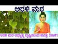 #prasadhebri#shailashre ಅರಳಿ ಮರ |ಆಧ್ಯಾತ್ಮ ದೃಷ್ಟಿಯಿಂದ ಪವಿತ್ರ ಯಾಕೆ? ನಿಮಗೆ ಗೊತ್ತಾ?Aralimara| ಬೋಧಿ ವೃಕ್ಷ