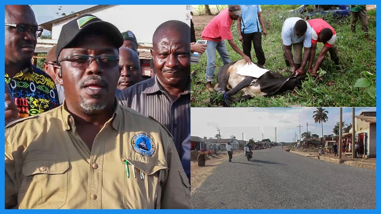 RC MWANZA ATOA NG'OMBE ILI ACHINJWE KUZINDIKA BARABARA YA UKEREWE