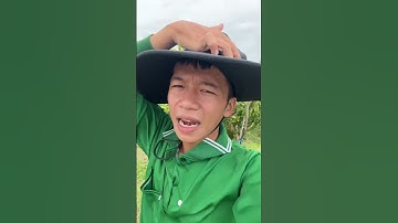 Làm nông thuê đất 40tr, lãi 200tr – Hành trình kiếm tiền cưới vợ #duylamnong #tronglua