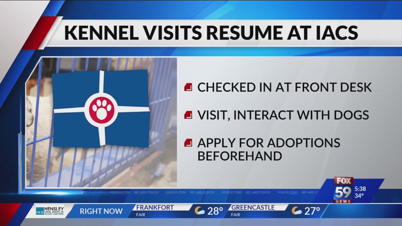 For the first time since 2020, IACS public for kennel visits