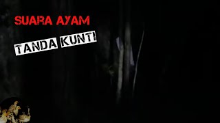 PENAMPAKAN SOSOK KUNTILANAK DENGAN DITANDAI SUARA ANAK AYAM