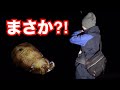 釣れたらデカいと噂の場所にアオリイカを釣りに行ったらまさかの展開に?!【サーフエギング】