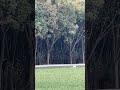 80-meter ballistic trajectory #slingshot #户外射击 #automobile