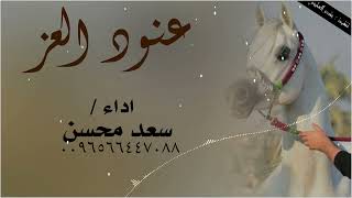 شيلة : عنود العز - سعد محسن ( حصرياً ) 2026