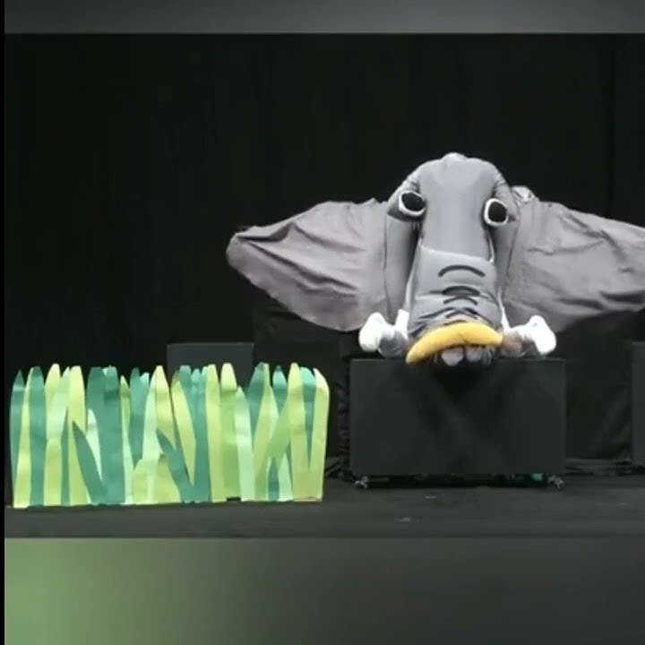 whole zoo in stage | watch full video |