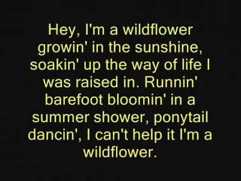 The JaneDear Girls- Wildflower lyrics
