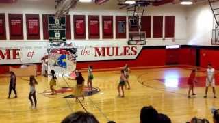 Newmarket Senior Lip Sync 2015