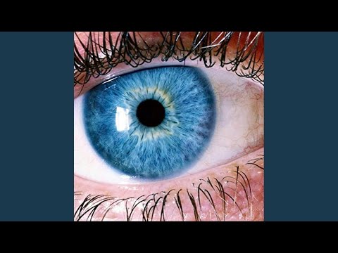 Pretty Blue Eyes