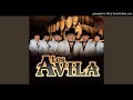 Los Avila 2020 - Puros Corridos Fregones Pa'Pistear🔥💣🍺🎷